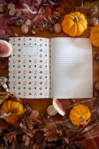 Carnet de l'automne