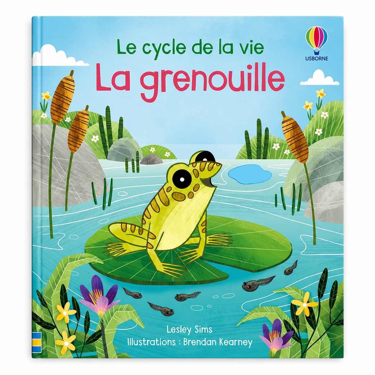La grenouille - Le cycle de la vie