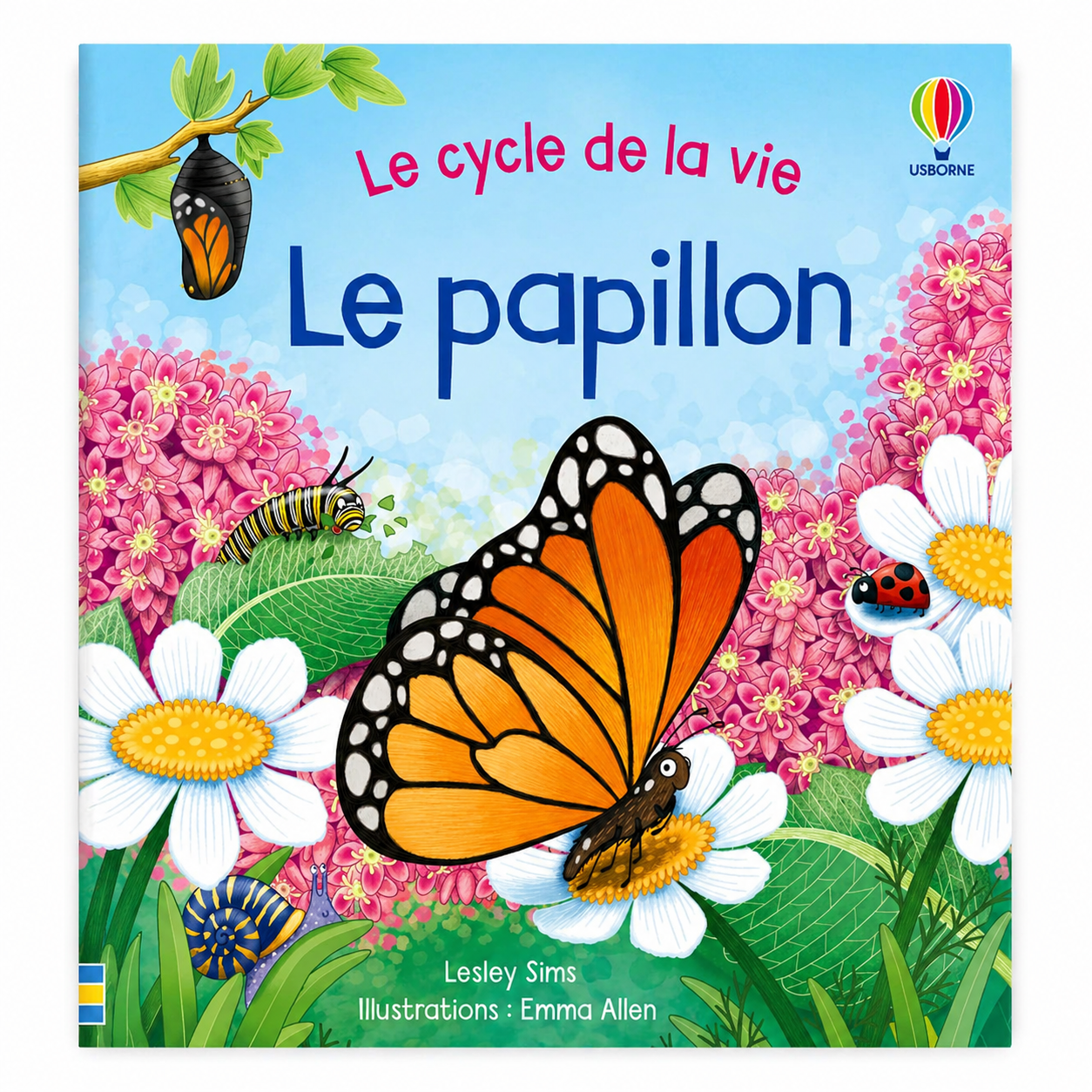 Le papillon - Le cycle de la vie